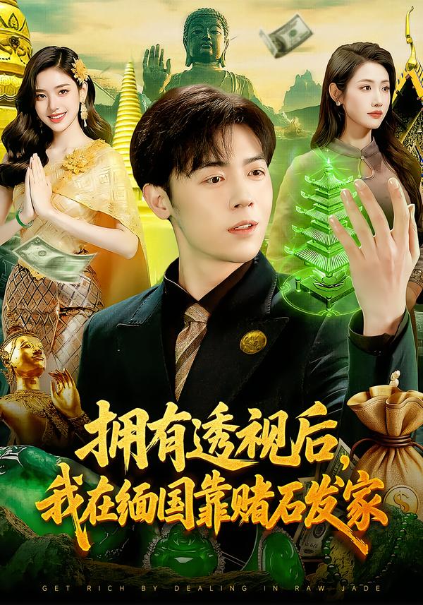 拥有透视后,我在缅国靠赌石发家