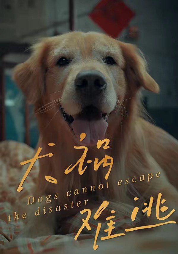 犬祸难逃